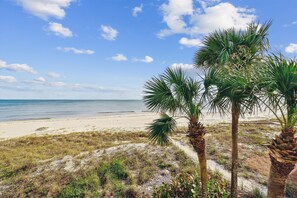 On the beach - Welcome to Salty Dawg! (Eastpoint)