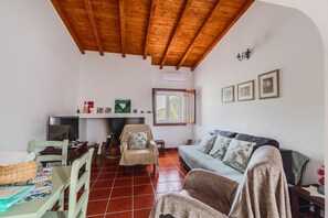 Un salon avec un plafond en bois, une cheminée, un canapé, un fauteuil, un téléviseur et une fenêtre.