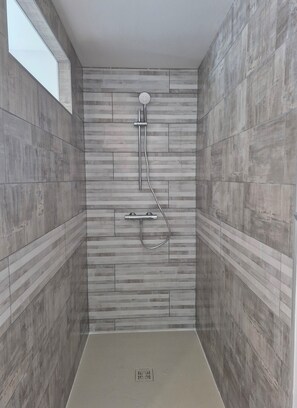 Shower, hair dryer, soap, toilet paper
