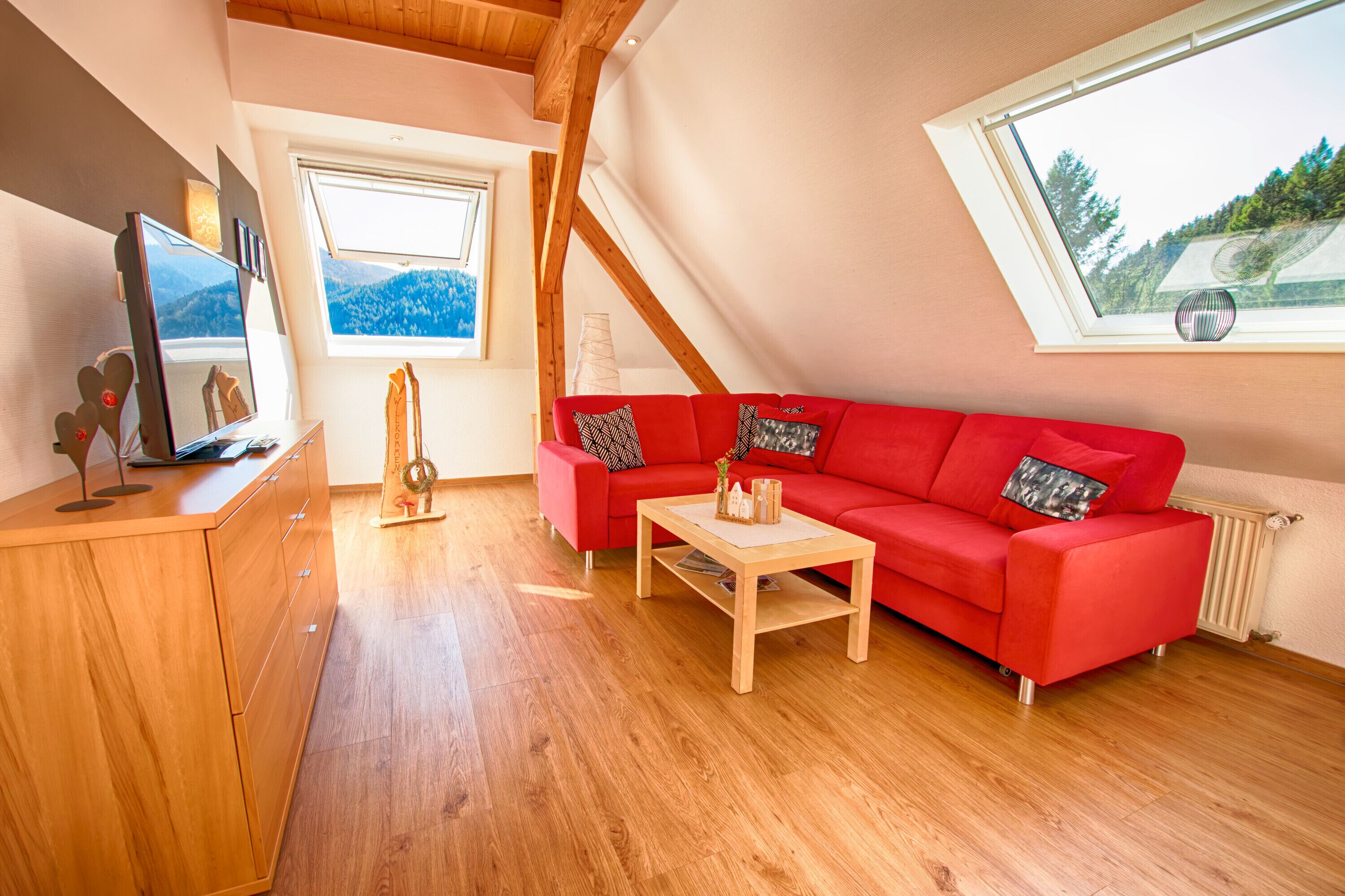 TV, table tennis, stereo