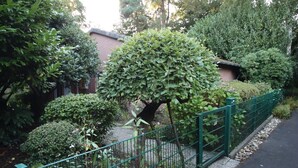 A garden with a variety of shrubs and a green metal fence.