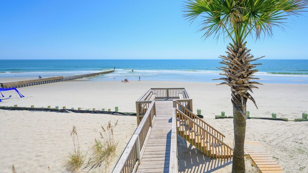 A wooden boardwalk leading to a beach with a palm tree and a clear blue sky. - 7 Bedroom, Ocean Front Paradise - 1 To Sea (Garden City)