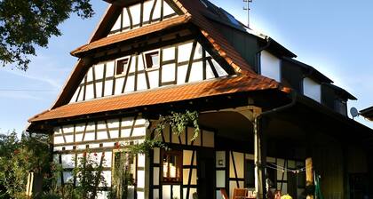 Appartement 'Ferienwohnung Schwarzwaldblick' avec jardin commun, balcon et Wi-Fi