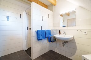 Shower, hair dryer, towels