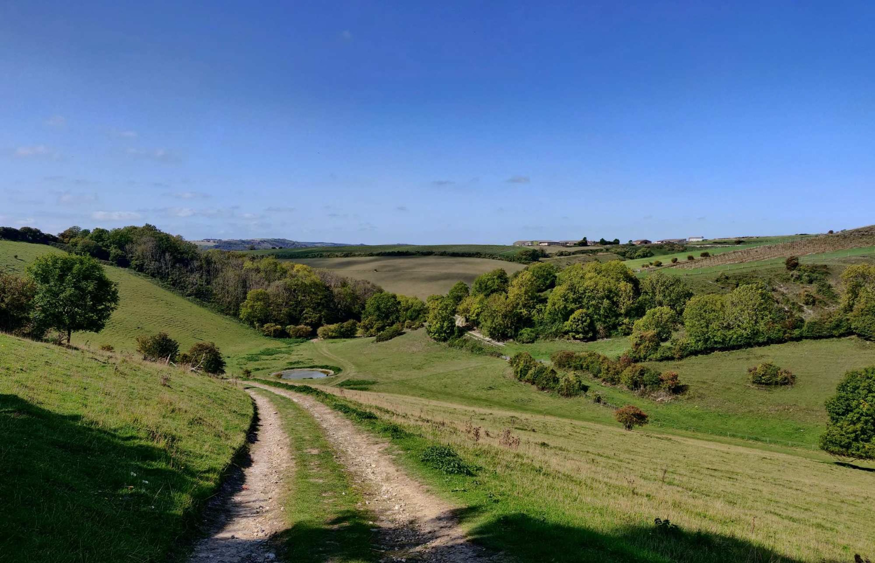 Ländliche Landschaft mit sanften Hügeln, einem Feldweg und vereinzelten Bäumen.