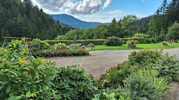 A garden with various plants and flowers, a paved area, and a backdrop of trees and mountains. - Christianshof - Holiday Apartment '3' with Mountain View, Shared Garden and Wi-Fi (Oppenau)