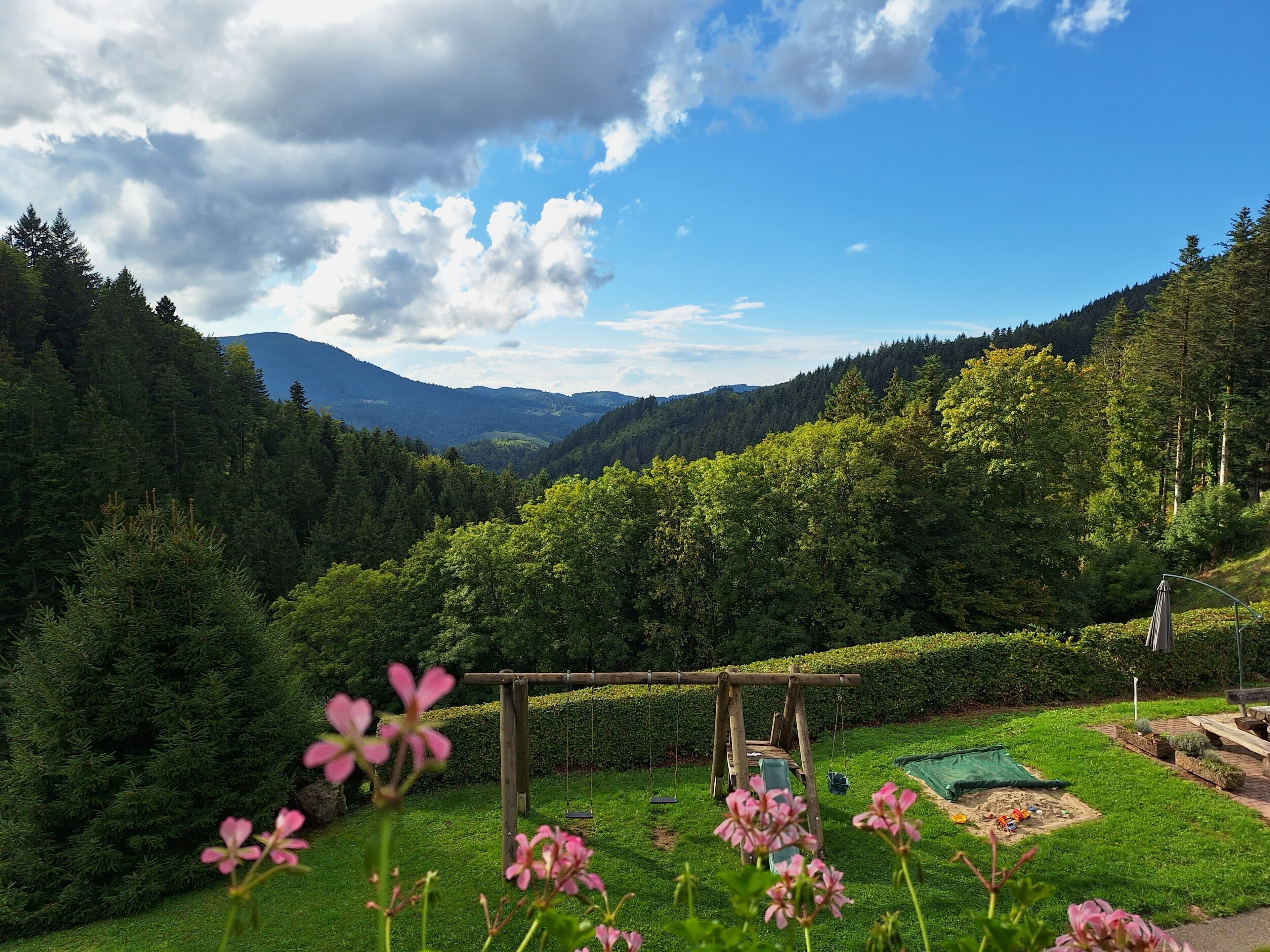 Parco della struttura