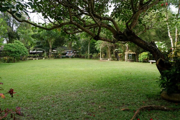Vista para o jardim