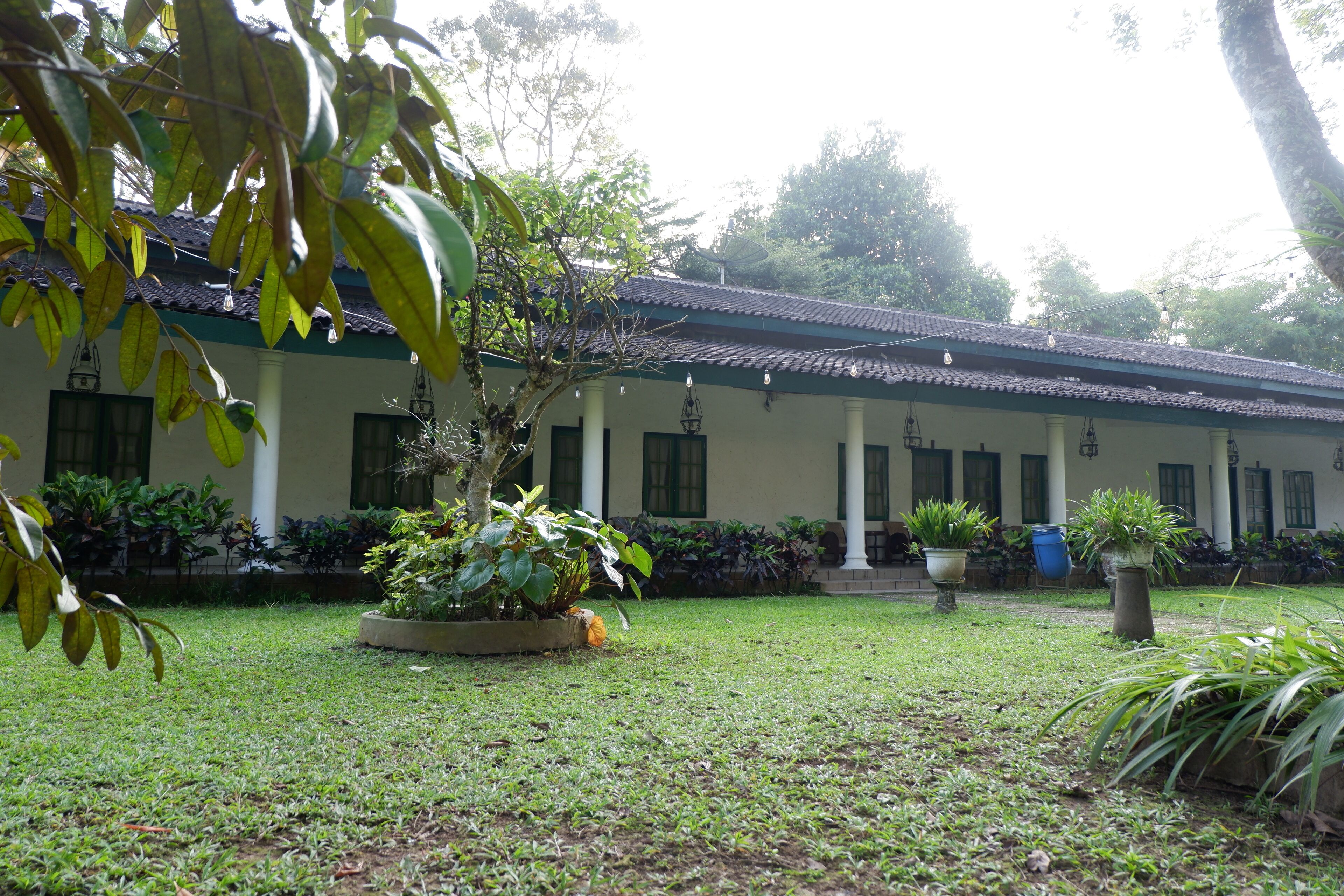A building with a tiled roof and columns, surrounded by a well-maintained lawn and potted plants.