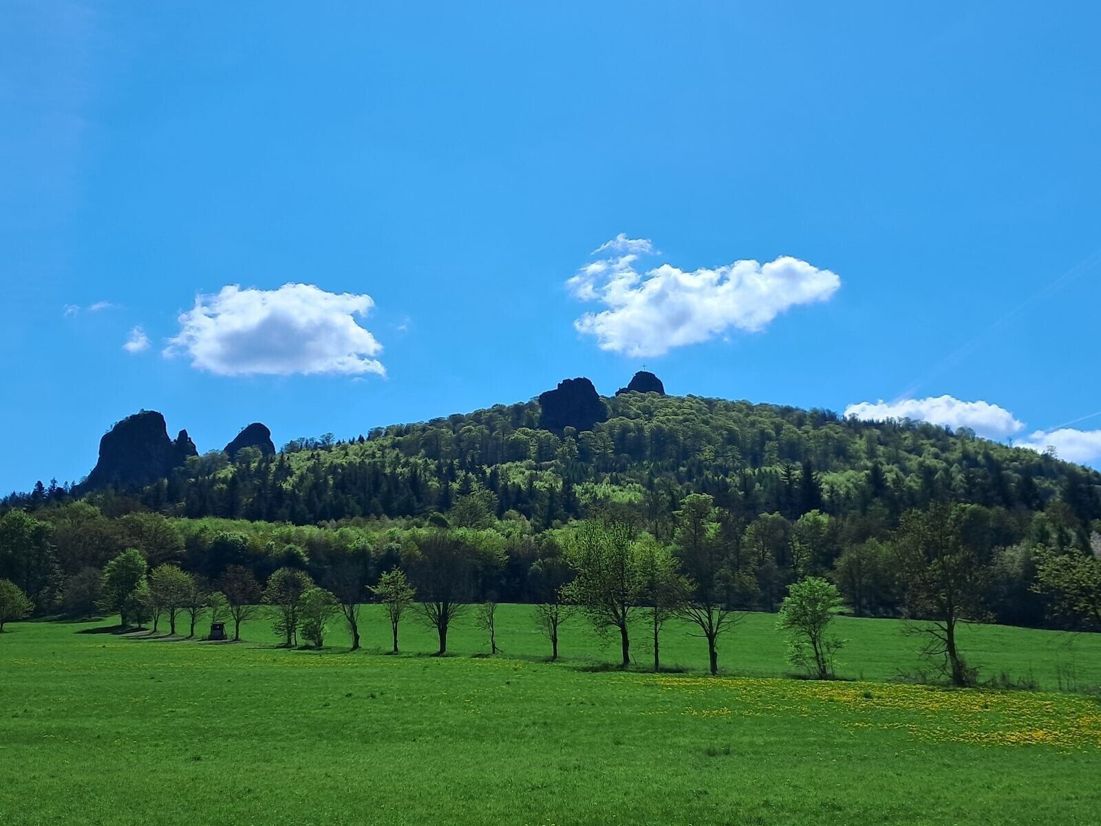 Un campo verde con árboles y una colina con formaciones rocosas.