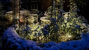A snow-covered garden with a star-shaped light fixture at the center, surrounded by metal structures and plants. - Apartment with 2 Bedrooms, Sleeps up to 4 Guests (Olsberg)