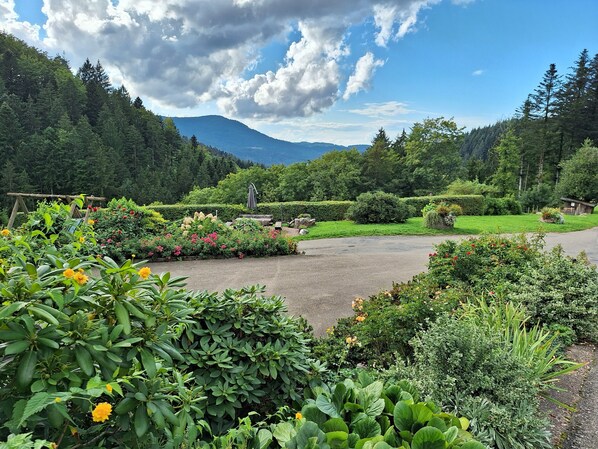 A garden with various plants and flowers, a paved area, and a backdrop of trees and mountains.