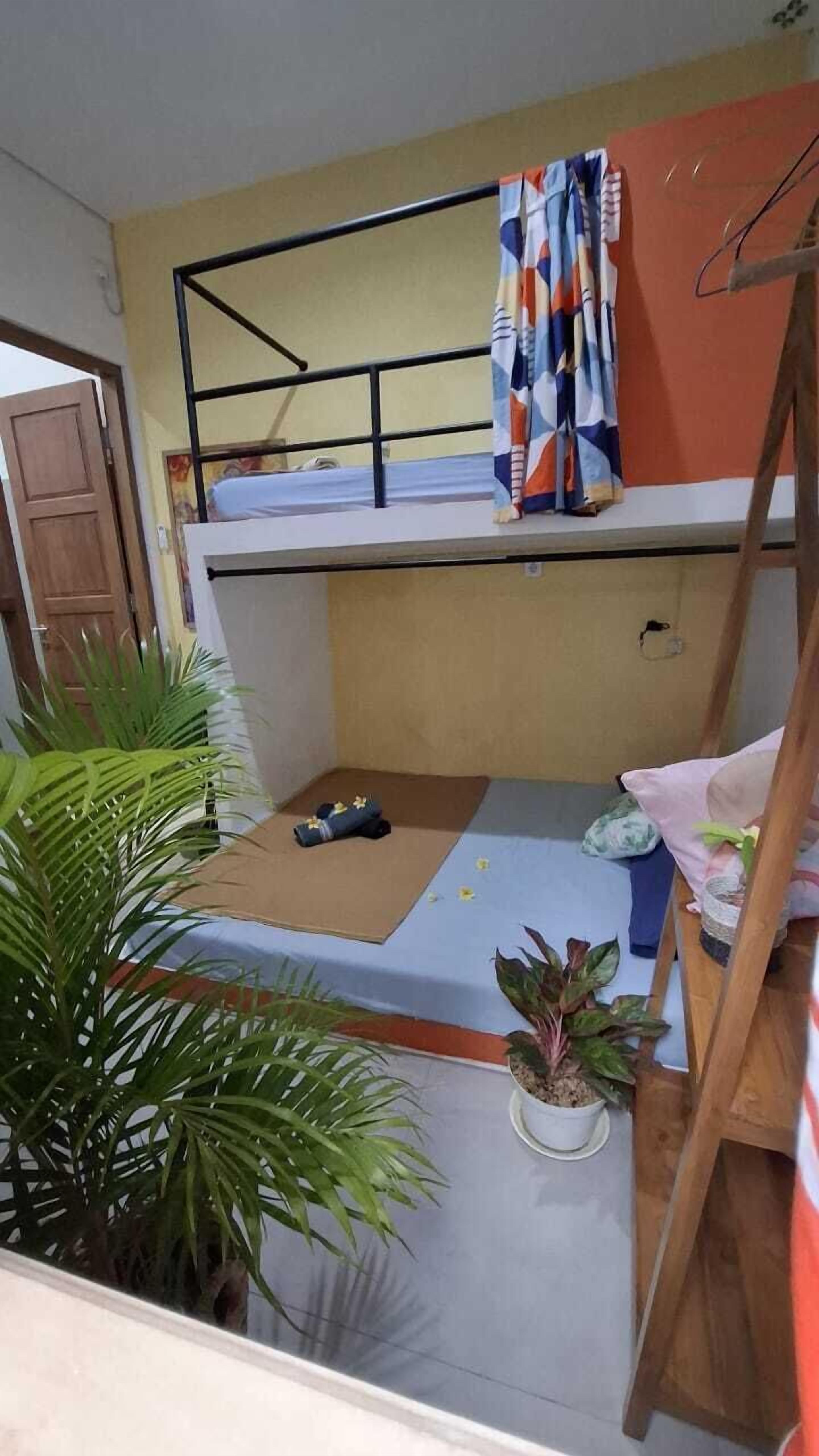 Een kleine, compacte kamer met een stapelbed, een bureau en een stoel. Er staan twee potplanten en een houten ladder.