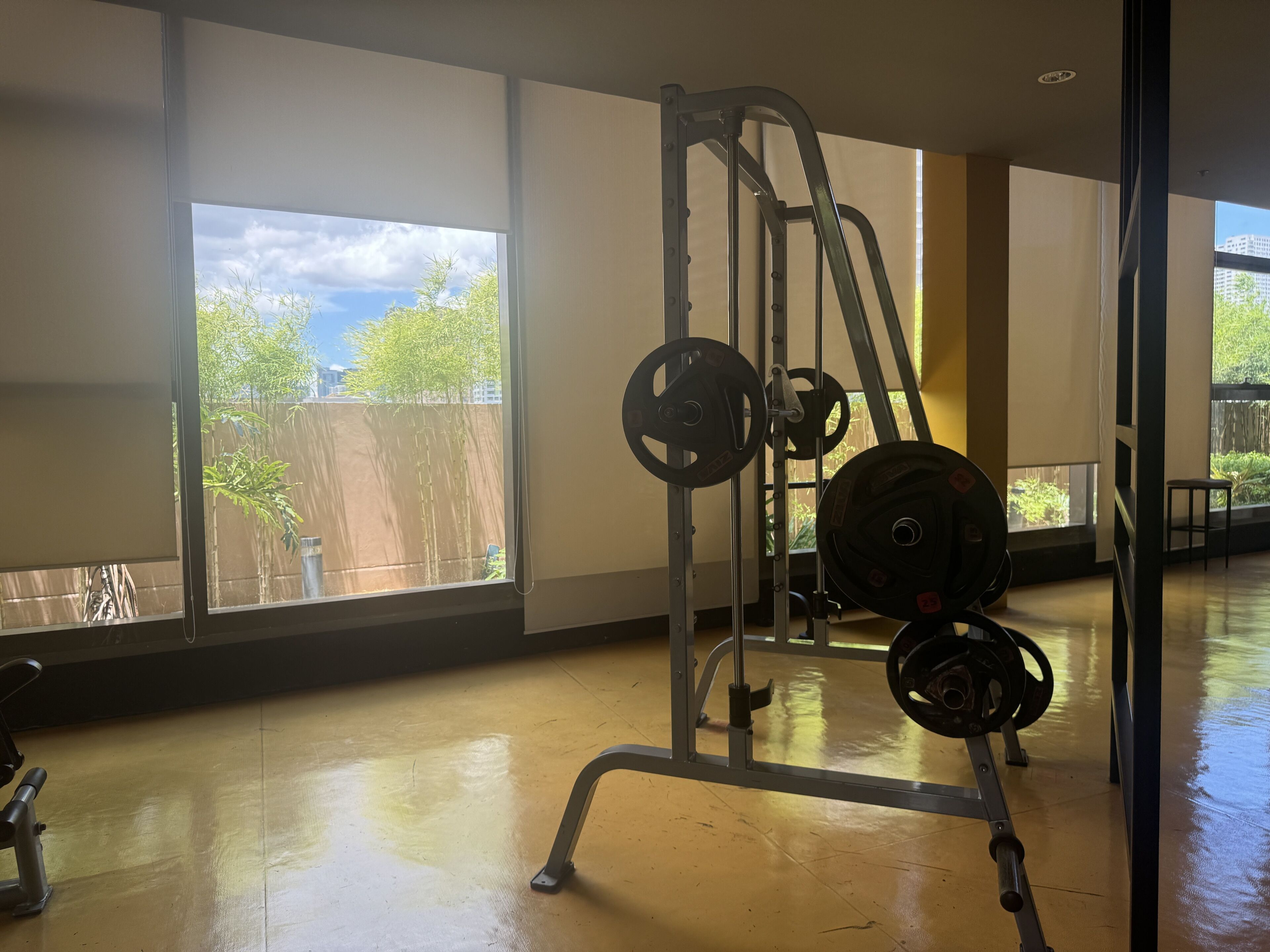 Una palestra con area pesi, ampie finestre e vista su alberi ed edifici.