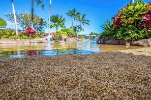 Beach nearby - AMAZING location steps from the beach - Ohia Lehua Suite - AC, & PBAC included! (Poipu)