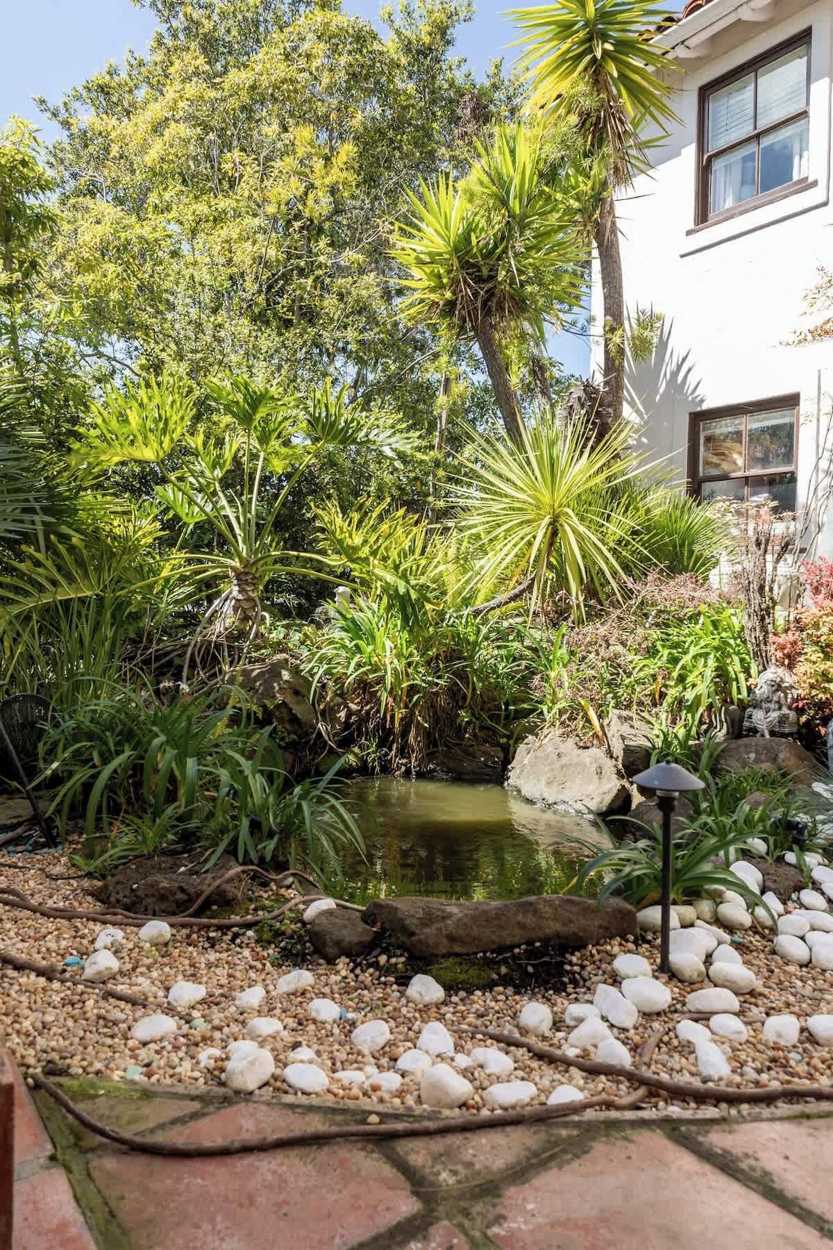 A garden with a pond, various plants, and a white building in the background.