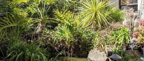 A garden with a pond, various plants, and a white building in the background.