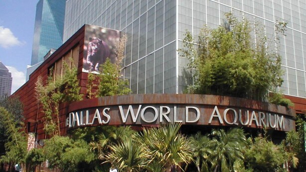 Das äußere Erscheinungsbild des Dallas World Aquarium mit einer großen Glasfassade und einem Schild mit dem Namen des Aquariums.