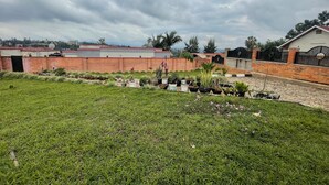 A residential area with a brick wall, a paved driveway, and a grassy lawn with potted plants. - Cool 1-bedroom with a balcony in vibrant Kigali (Kigali)