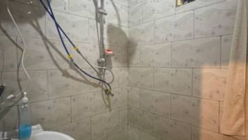 Bidet, towels, soap, toilet paper