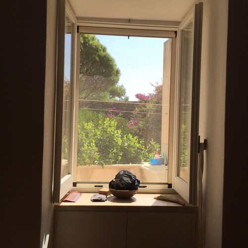 The dammuso of the pines, ancient Pantelleria dammuso