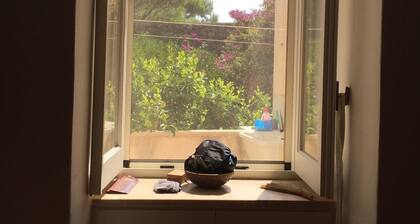 The dammuso of the pines, ancient Pantelleria dammuso