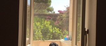 The dammuso of the pines, ancient Pantelleria dammuso