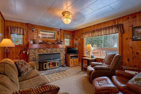 TV, fireplace, books