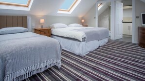 A bedroom with two beds, a skylight, a striped carpet, and a walk-in closet. - Ridgeway Retreat - 1 Bedroom Cottage - Manorbier (Tenby)