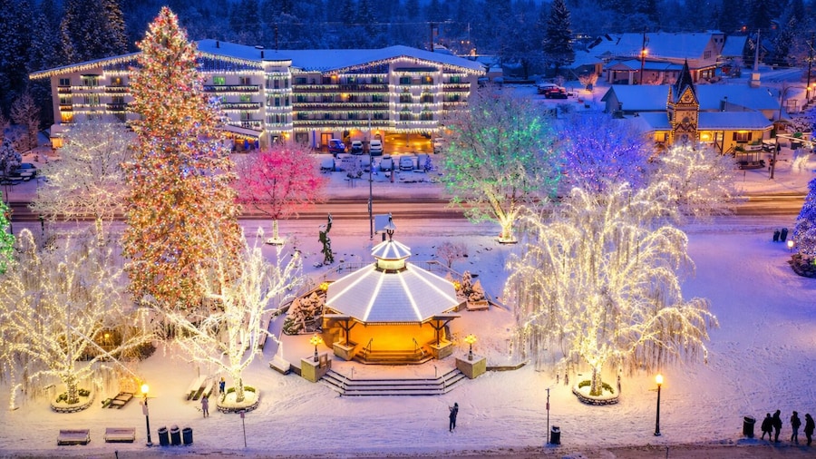 Icicle Haus 4 Bedroom Home