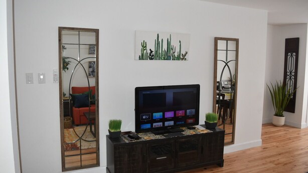 A living room with a TV on a dark wooden console, a cactus plant, and a cactus-themed artwork on the wall.