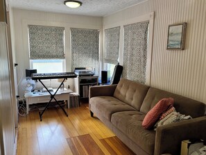 Smart TV, fireplace, books, stereo