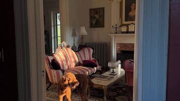 Una televisión, una chimenea, una oficina