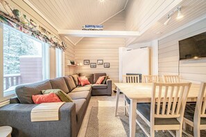 Fernseher, Kamin
