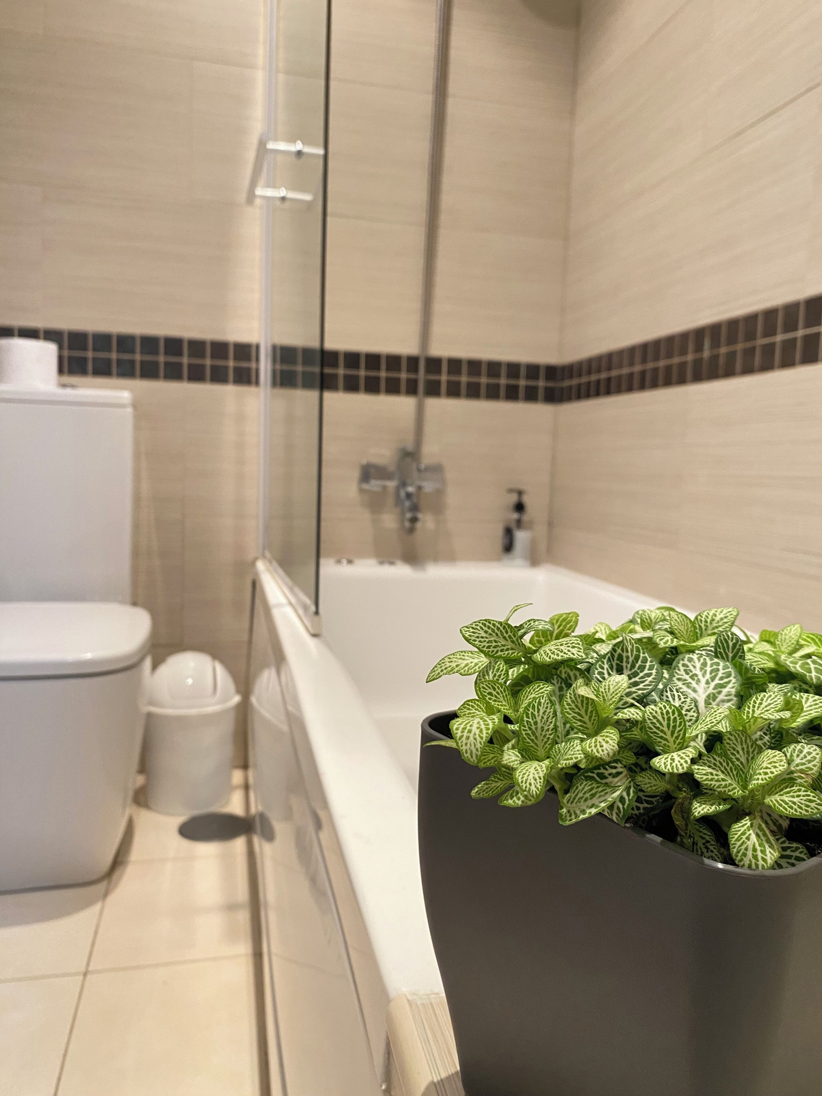 Towels, soap, toilet paper