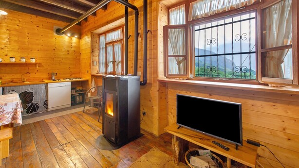 Interior de una cabaña de madera con estufa, televisor y ventana con vistas a las montañas.