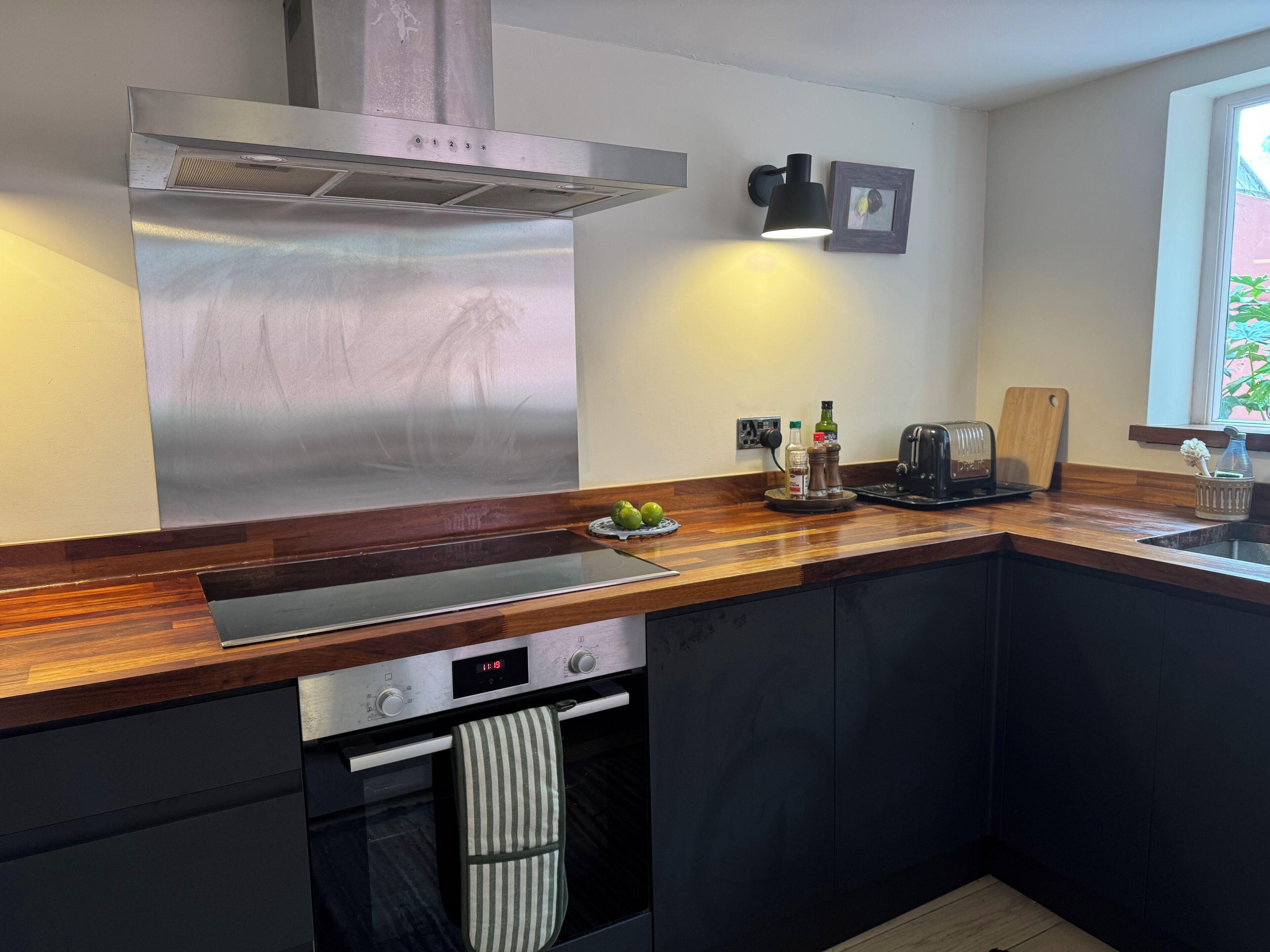 Oven, stovetop, dishwasher