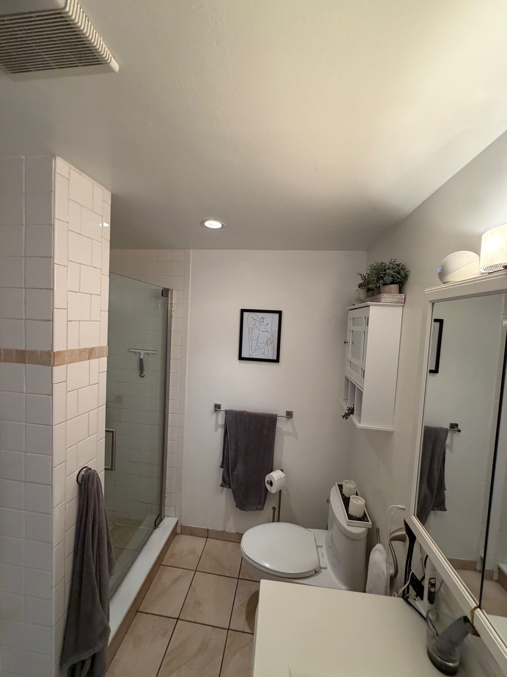 Hair dryer, towels, soap, toilet paper