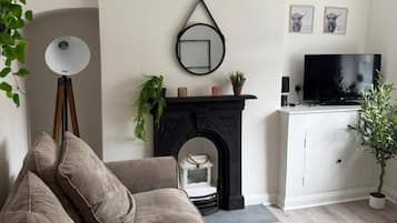 A living room with a sofa, a fireplace, a television, and a potted plant.