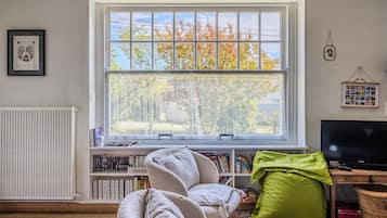 Fernseher, Kamin, Tischtennisplatte