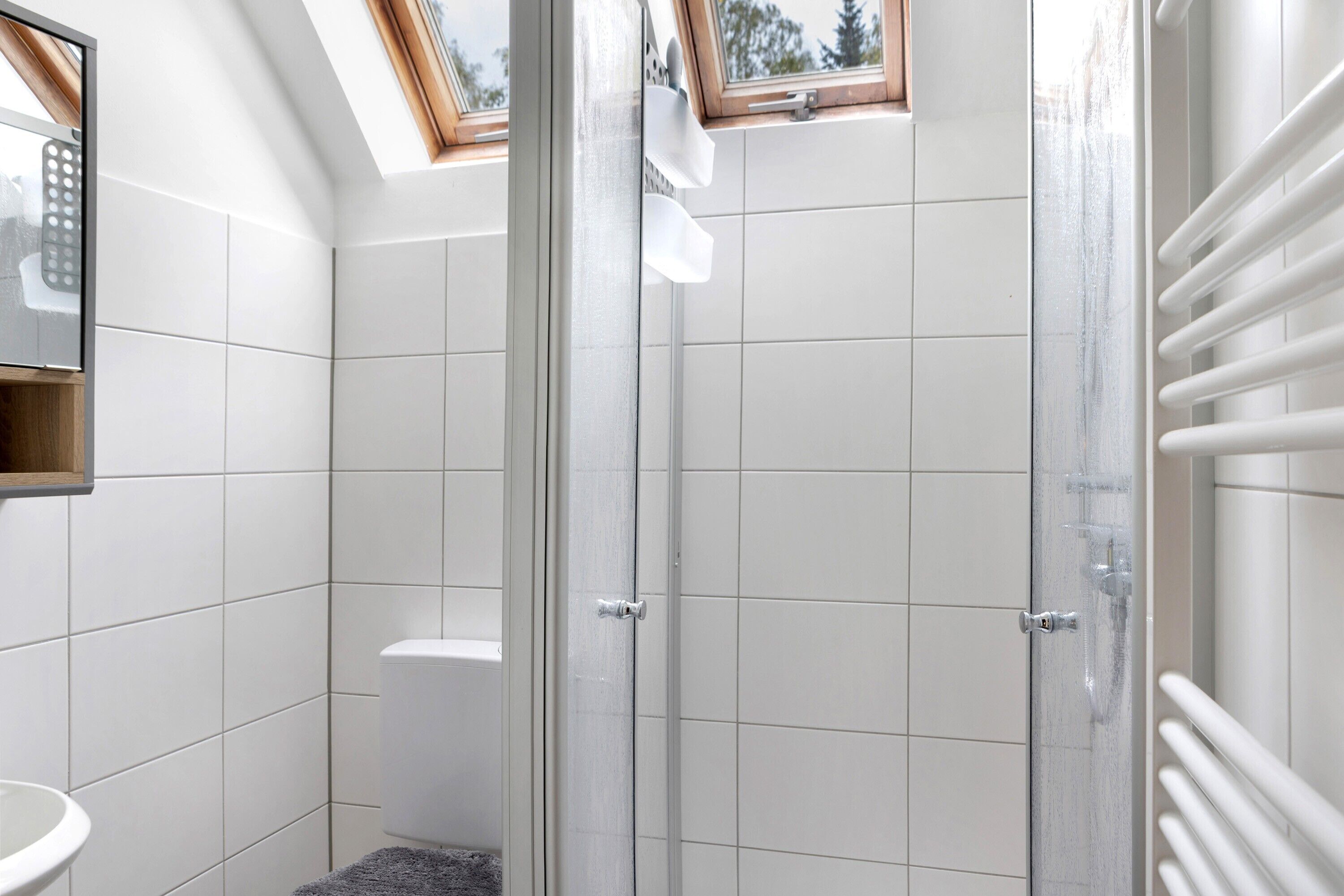 Een douche, gratis toiletartikelen, een haardroger, handdoeken