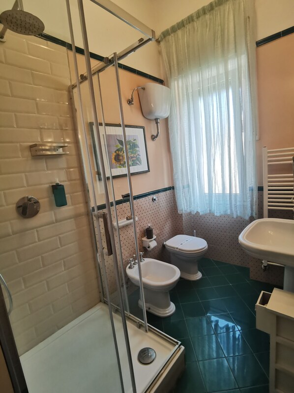 A bathroom with a shower, toilet, bidet, and sink.