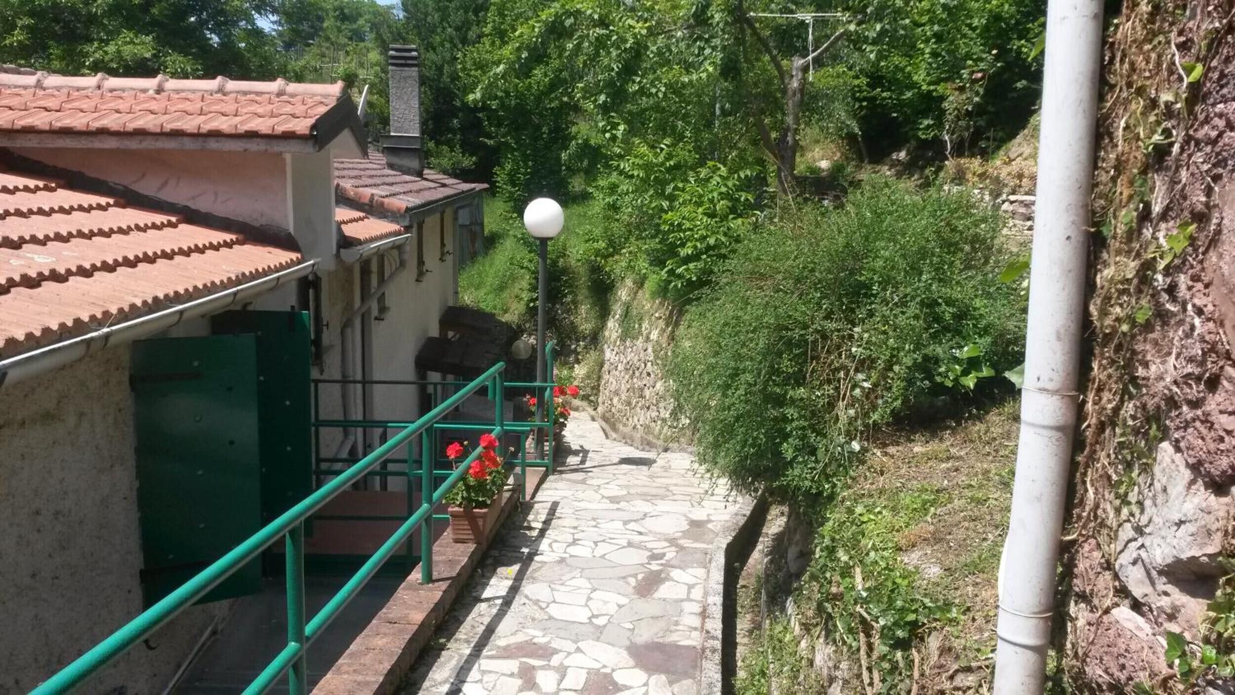 المنطقة المحيطة بالمنشأة