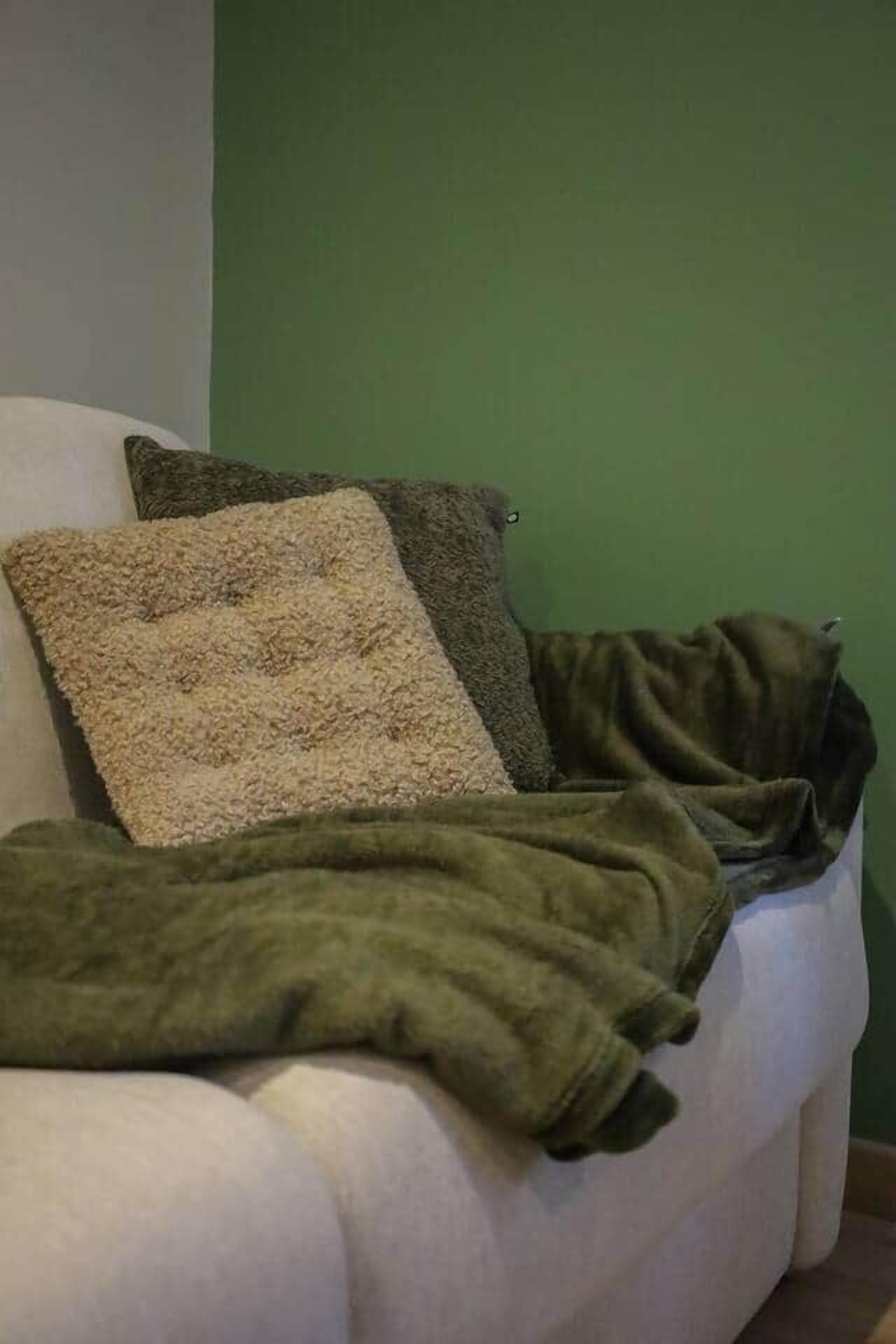 En vit soffa med en grön pläd och två kuddar, placerad framför en grön vägg.
