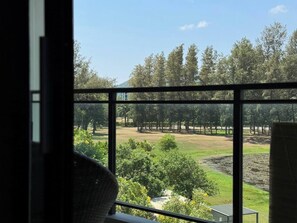 A view from a window with a metal frame, overlooking a grassy area with trees and a clear sky.