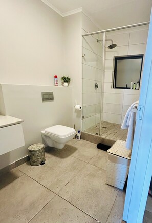 Shower, hair dryer, towels, soap