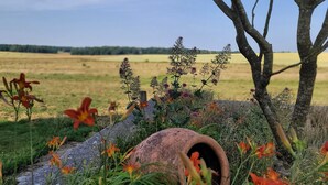 A rural landscape with a field, a tree, and a rustic structure. - Large capacity gîte in champagne.pets welcome! (Corrobert)