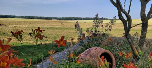 Gîte grande capacité en champagne.Animaux de compagnie acceptés!