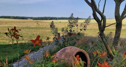 Large capacity gîte in champagne.pets welcome!