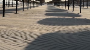 Ein Strand mit Reihen von Sonnenschirmen und Pfosten, einem sandigen Pfad und einem klaren Himmel.